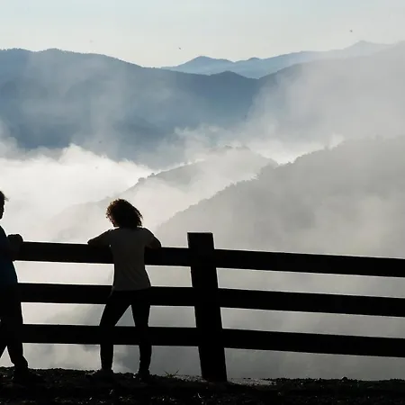 Picos De Europa Apartment Colio
