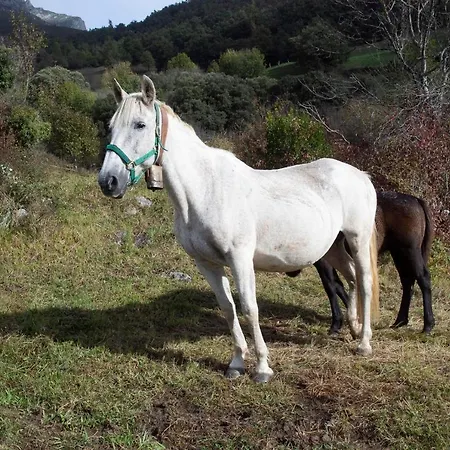 Picos De Europa דירה