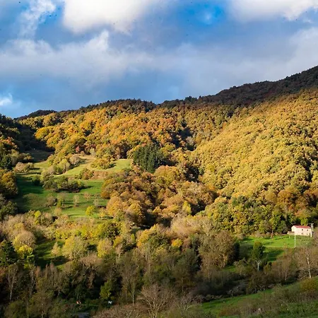 Picos De Europa * Colio