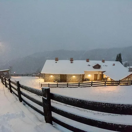 Picos De Europa Colio