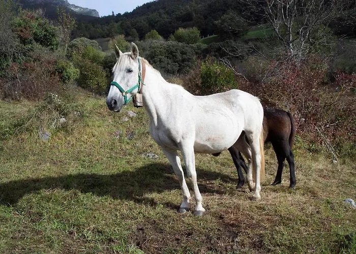 Picos De Europa Apartment