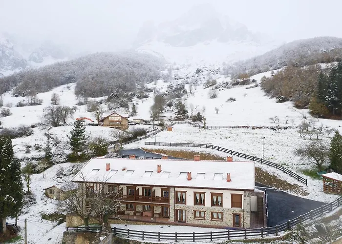 Picos De Europa Colio