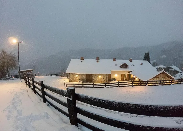 Picos De Europa Colio